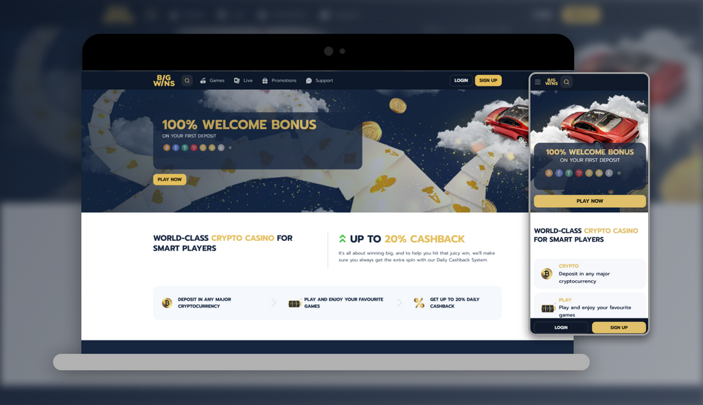 BigWins Casino Testimonial & Rankings by Actual Gamers - 2025