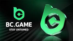 Unveiling the Future BC Game Crash Predictor
